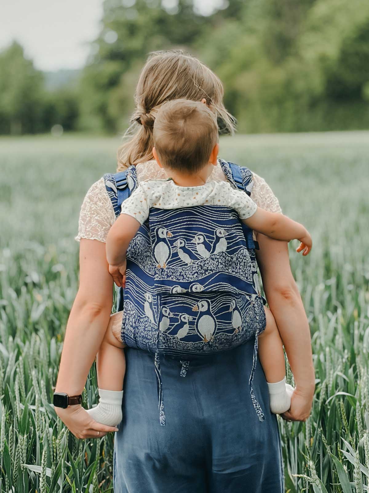 Baby carrier on back with blue background and Puffins.