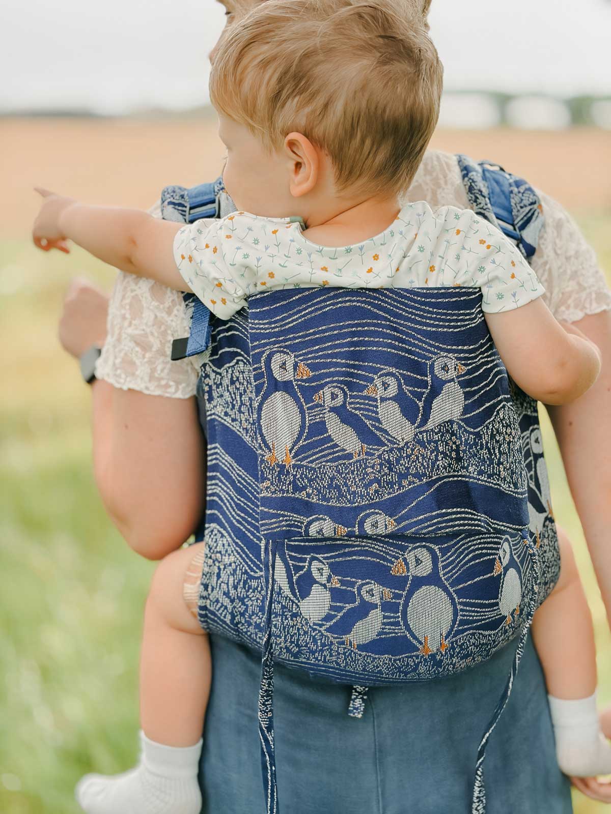 Close up of Baby Carrier with blue background and Puffins with orange beaks.