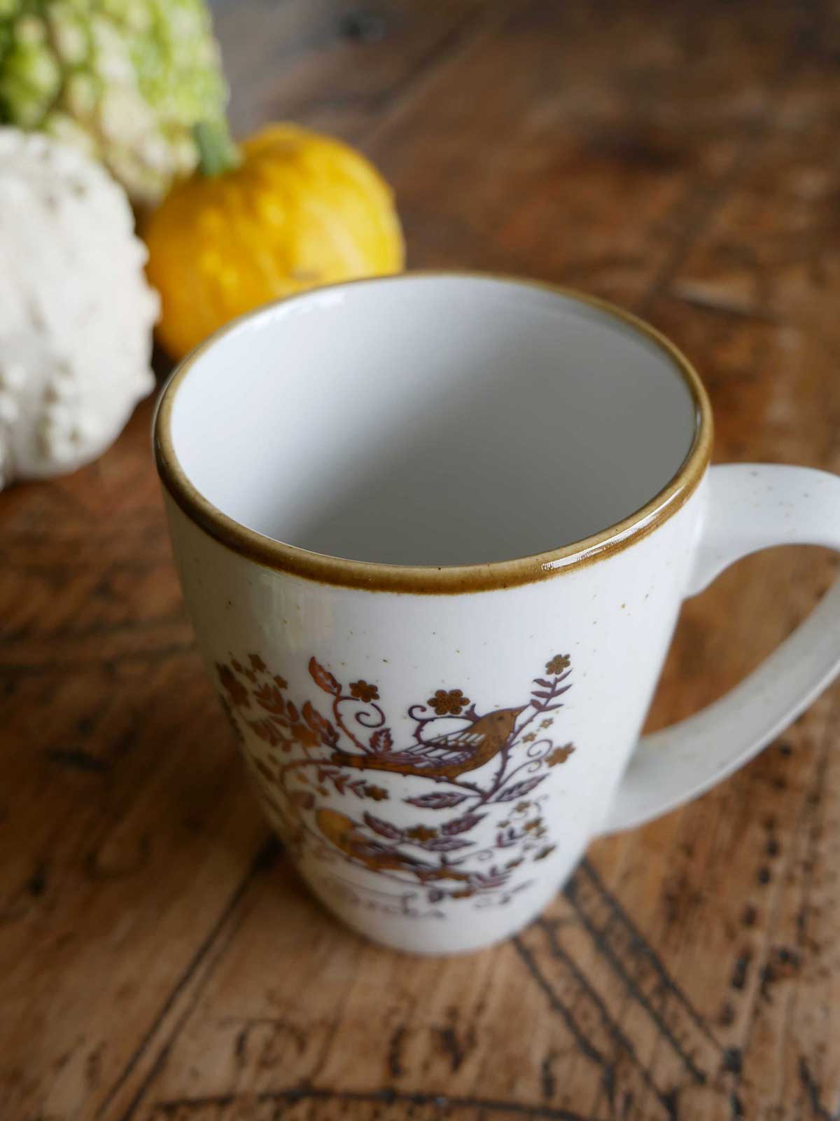 Briarwood Mistle Thrush Mug