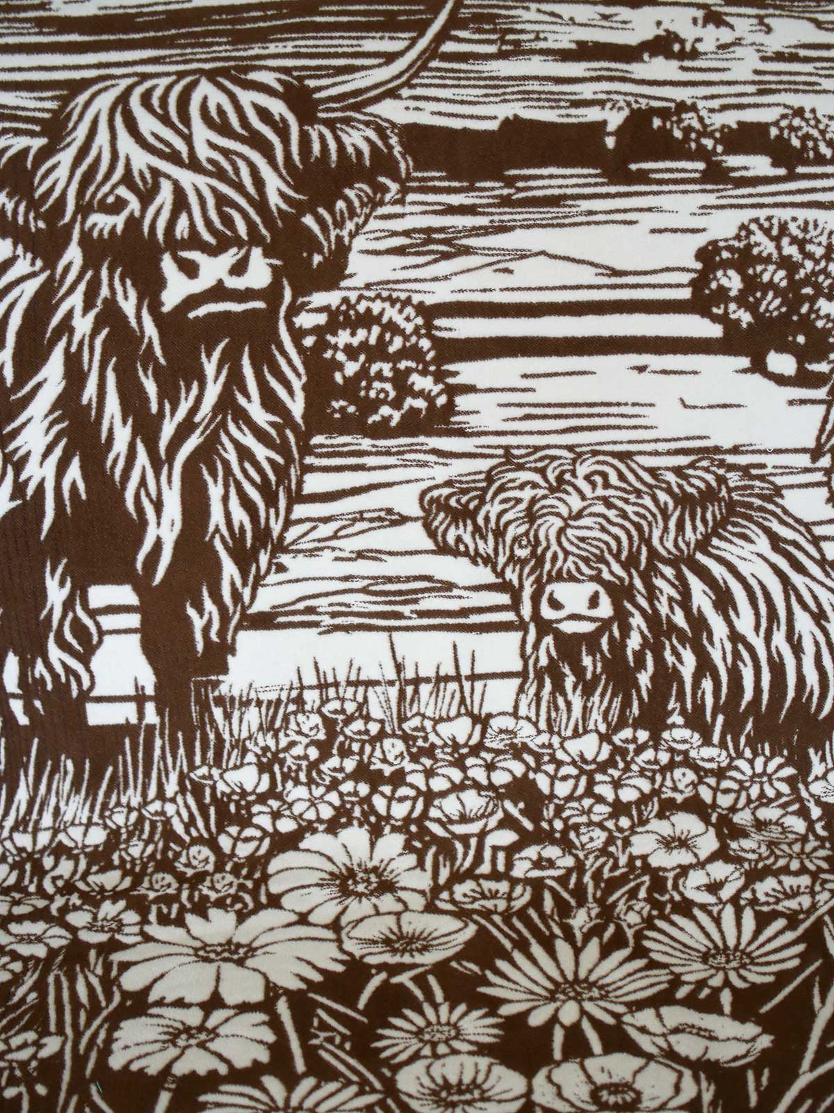 Close up of a brown throw a highland cow and calf