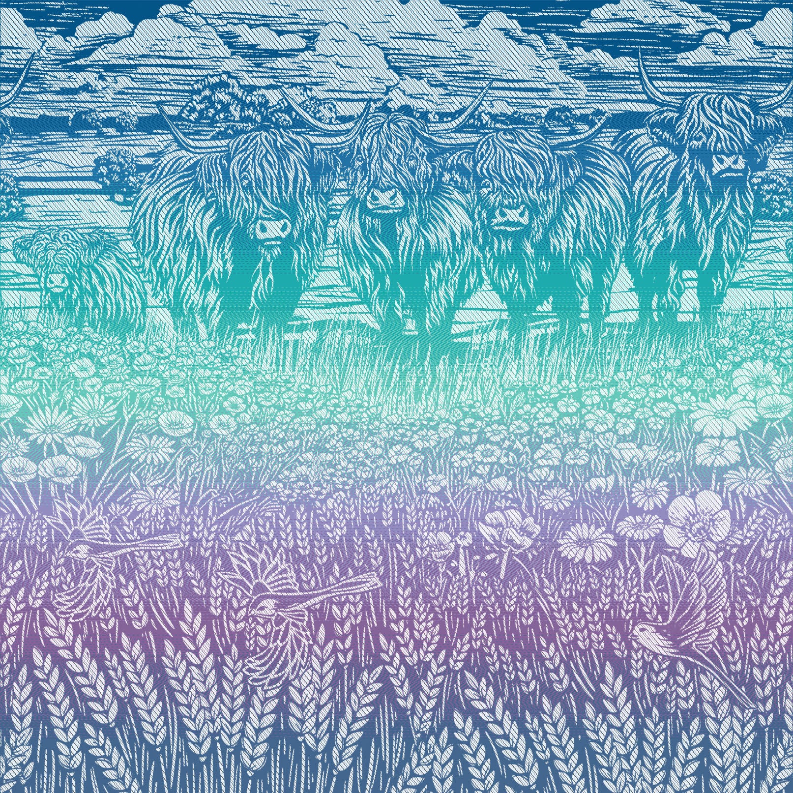 Highland Cows Lavender Fields Preorder