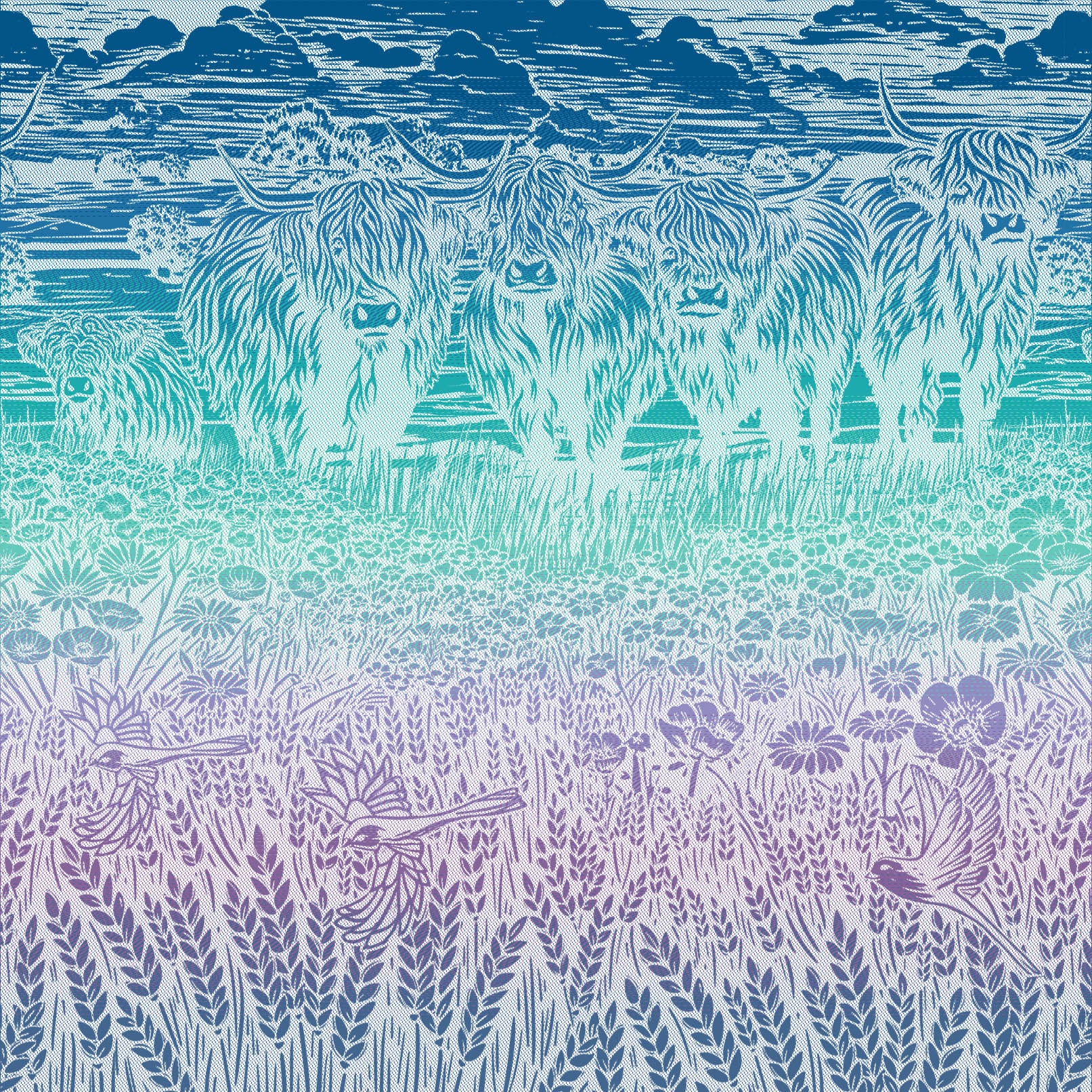 Highland Cows Lavender Fields Preorder