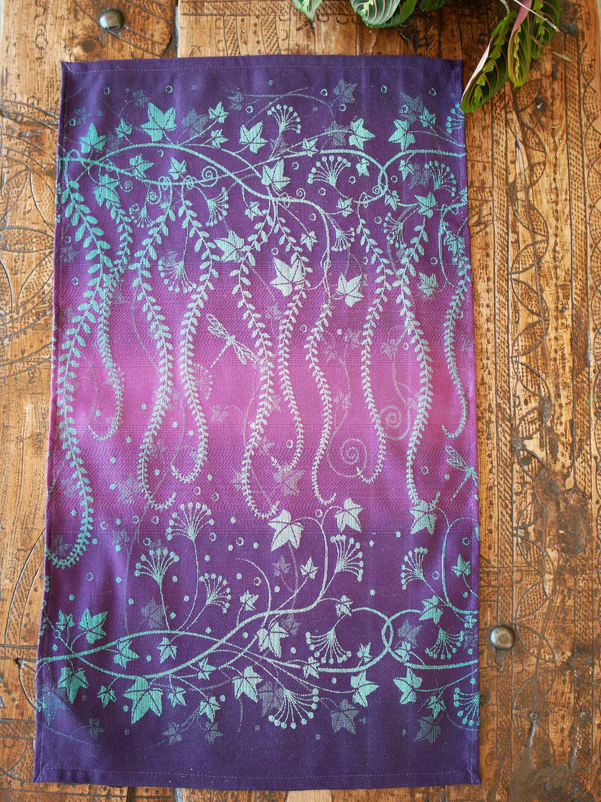 Ivy Evening Cascade Preorder