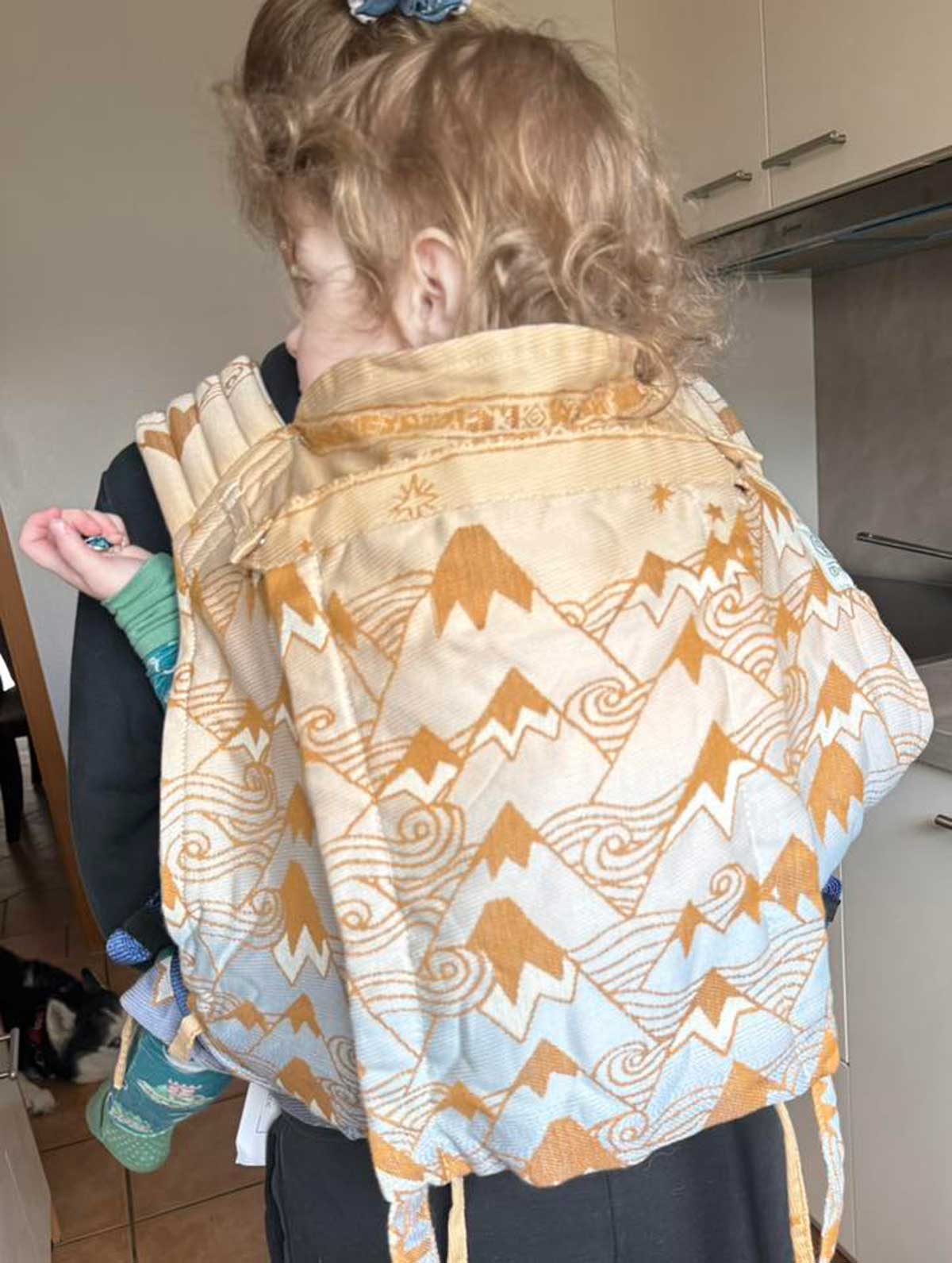 Misty Mountains Golden Sky