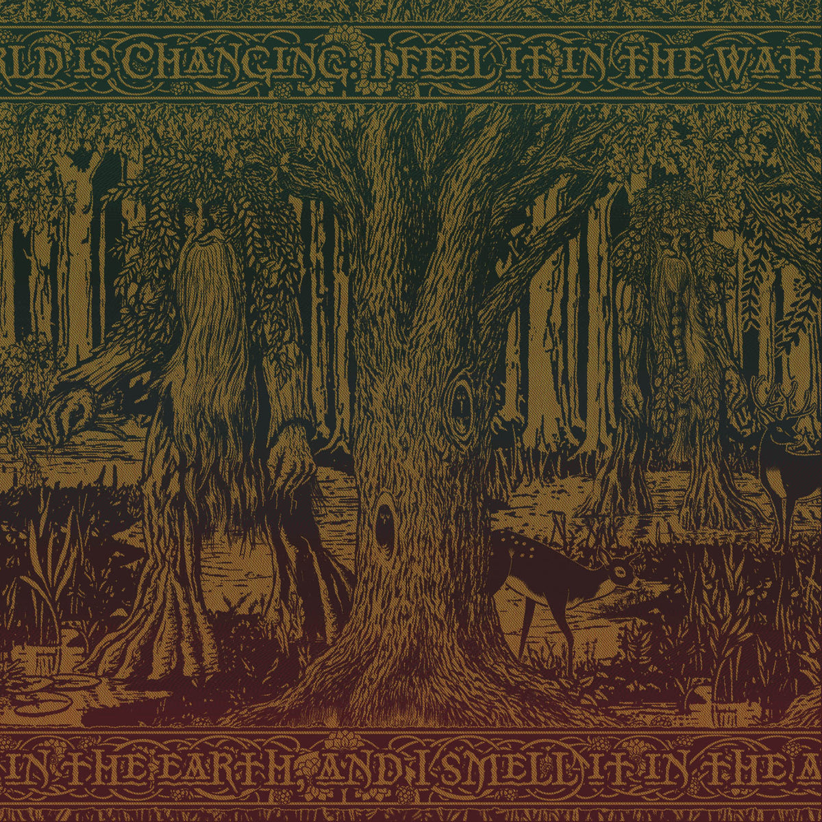 Treebeard Shepherd of the Forest Preorder