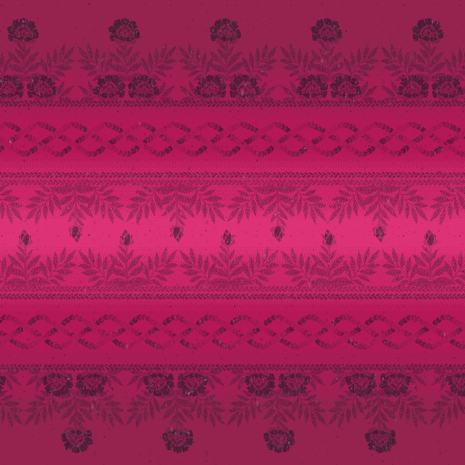 Wild Rose Worth the Wait Preorder